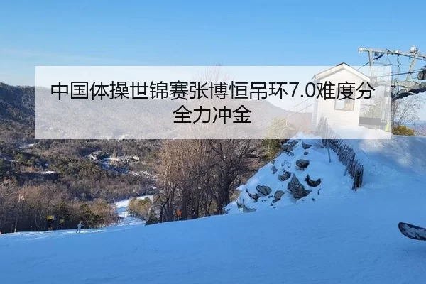 中国体操世锦赛张博恒吊环7.0难度分全力冲金