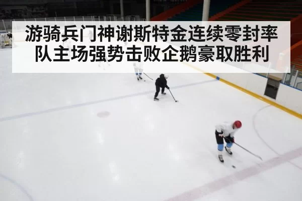 ice hockey rink